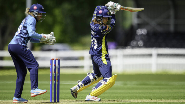 All-round Hampshire hold off Odgers, Learoyd charge for Somerset 4 416966.6